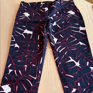 Ann Taylor Women's Chinos with Leaf Print - Navy and Red